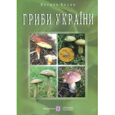 Гриби України