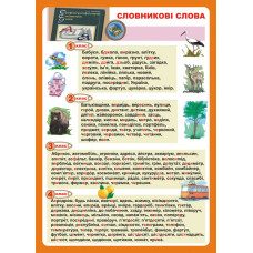 Дидактичний матеріал/Словникові слова./