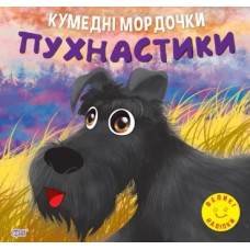 Кумедні мордочки. Пухнастики
