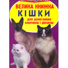 Велика книжка кішки
